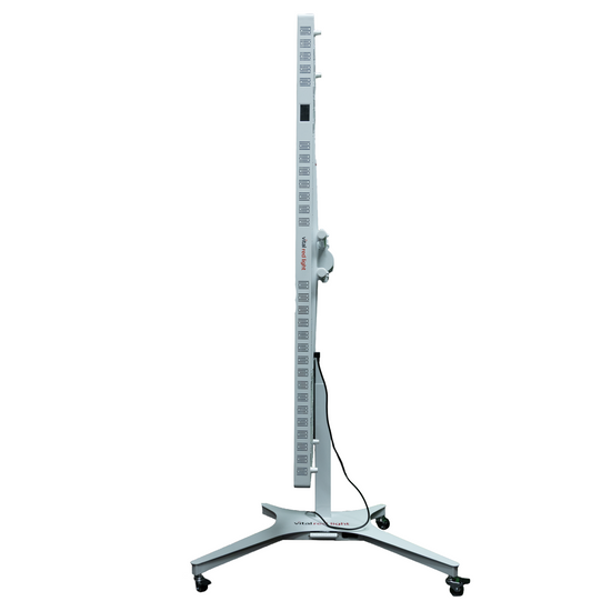 Full Motion Stand