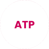 ATP icon