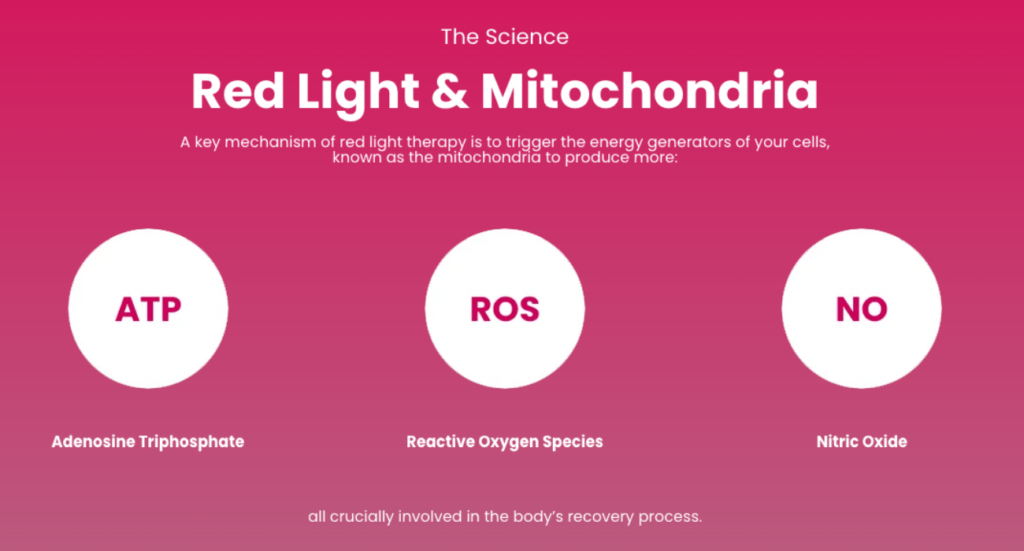 red light mitochondria