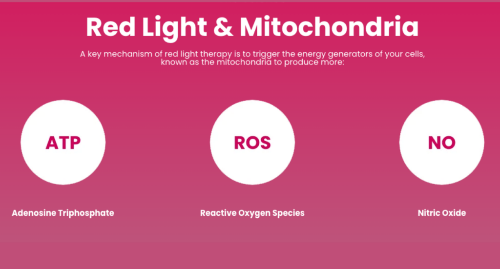 red light and mitochondria