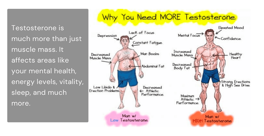 why you need more testosterone