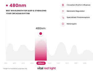 Infographic highlighting the transformative effects of the 480nm wavelength, optimal for sleep and circadian rhythm stabilization. Features include circadian rhythm influence, melatonin regulation, specialized photoreceptors, and melanopsin.