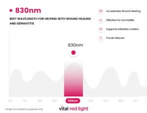 Infographic showcasing the transformative effects of the 830nm wavelength in aiding wound healing and dermatitis. Features include accelerated recovery, infection control, and proven results through powerful red light frequencies that benefit the body.