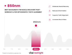 Explore the transformative effects of the 850nm wavelength in this infographic. Discover benefits like enhanced muscle recovery, reduced inflammation, tooth alignment support, and increased muscle mass. Visuals include a graph for illustration. "Vital Red Light" at the bottom.
